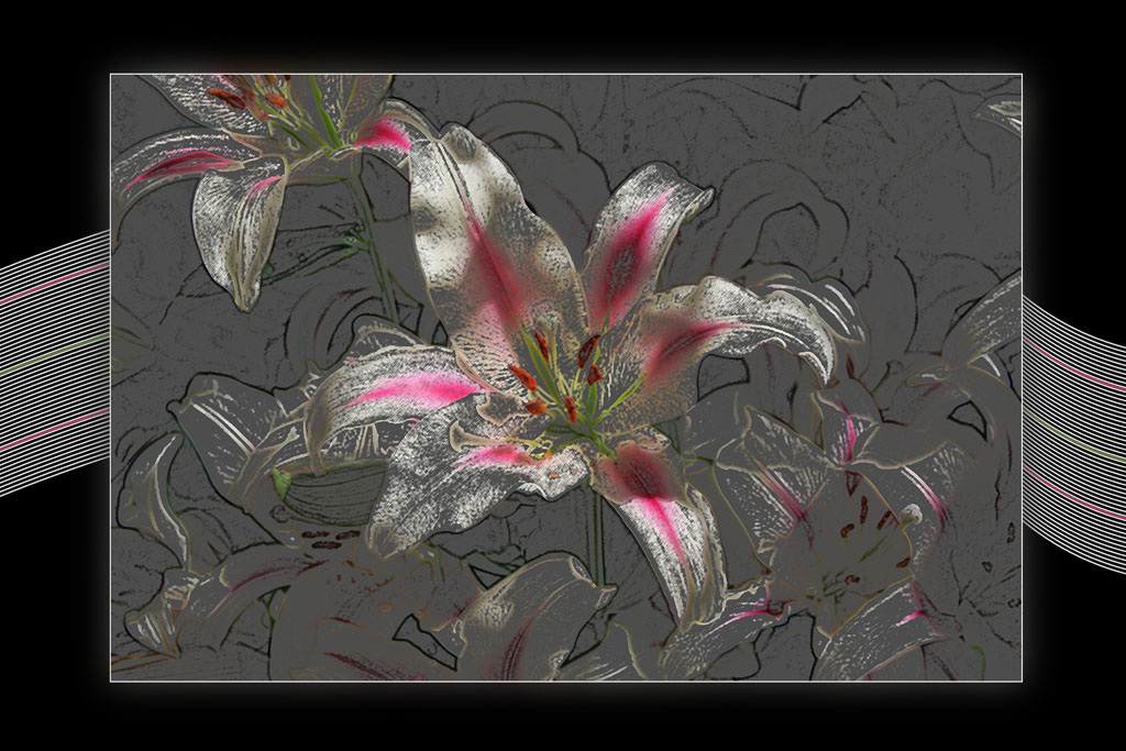 Lilies with colored pencils filter