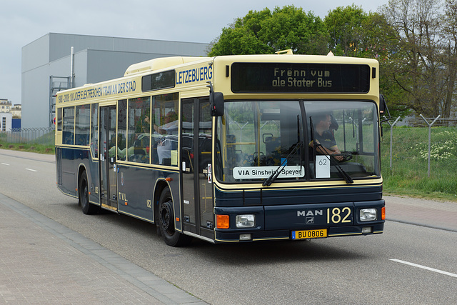 Omnibustreffen Sinsheim/Speyer 2017 287