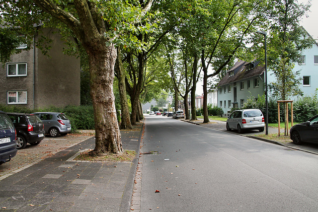 Kastanienallee (Wanne-Eickel) / 26.08.2017