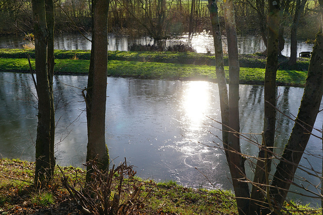 Zugefrorene Fischteiche II