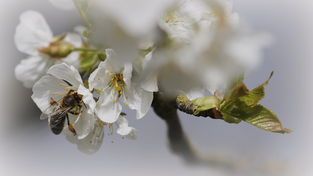 Un air de printemps