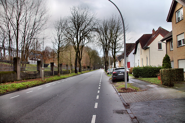 Frentroper Straße (Gladbeck-Zweckel) / 24.12.2022