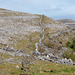 Stone wall on the Burren, County Clare, Ireland.