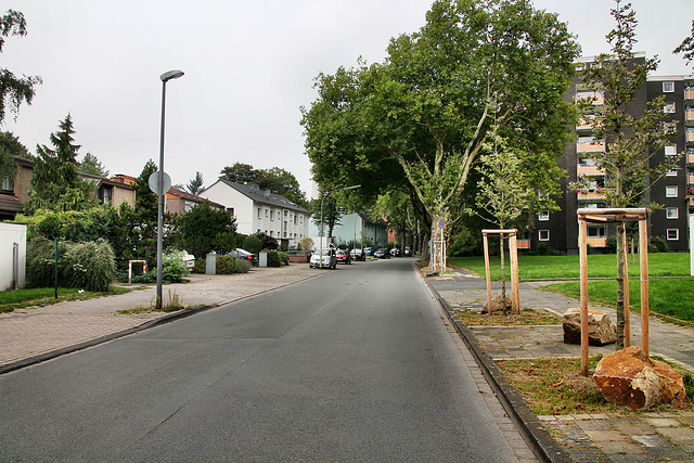 Kastanienallee (Wanne-Eickel) / 26.08.2017