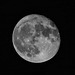 The Moon 17-10-2016.