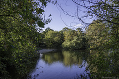 Stephen's Green (© Buelipix)