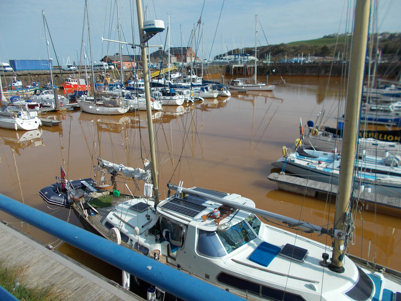 whn - brown marina