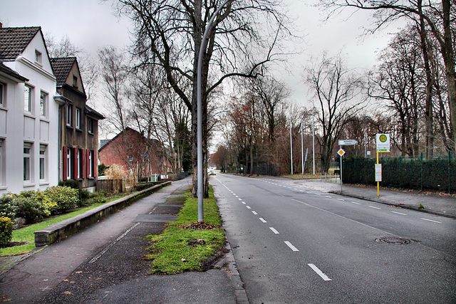 Frentroper Straße (Gladbeck-Zweckel) / 24.12.2022