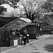 Food stall