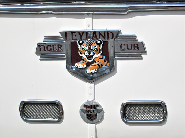 Leyland Tiger Cub - vintage bus