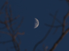 Late day day moon