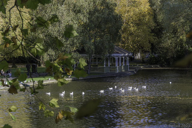 Stephen's Green (© Buelipix)