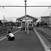 Two trains per hour
