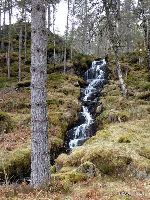 Glen Affric