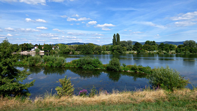 Neckar bei Ladenburg