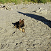 Max op het strand2