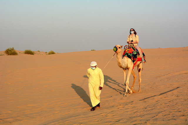 U.A.E., Dubai, Camel Ride in the Desert