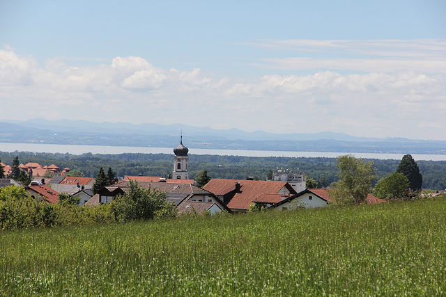 Blick vom Hopfenpfad auf Tettnang - Bodensee und in die Schweiz