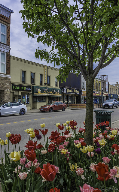 Dundas Street, Woodstock ON ... P.i.P. (© Buelipix)