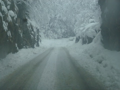 20150221 Raquettes Vercors Col de la Machine (137) al