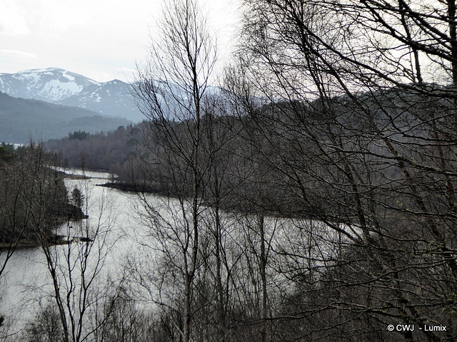 Glen Affric