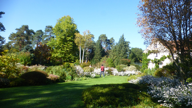 l'Arborétum des Grandes Bruyères...