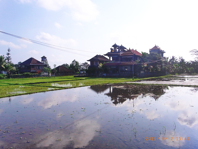 Pension am Rande von Ubud