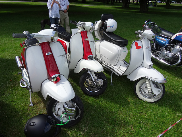 bpjun302019 (1253)