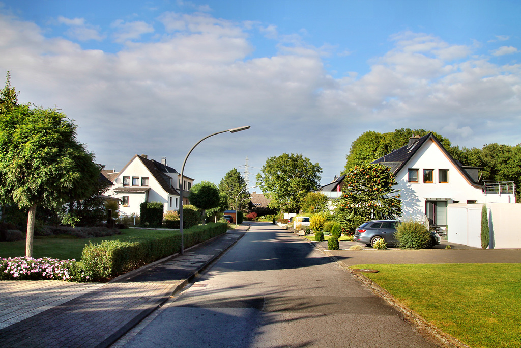 Krummer Weg (Castrop-Rauxel-Pöppinghausen) / 25.09.2021