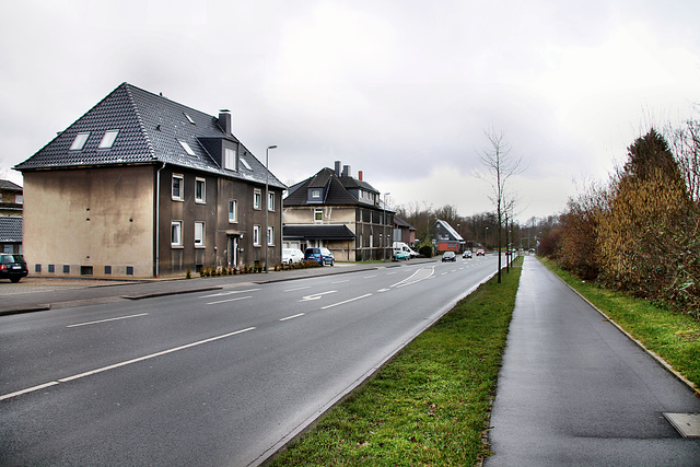 B224 Borkener Straße (Hervest-Dorsten) / 4.02.2018