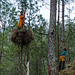 Heumacherinnen, Uttarakhand 2012