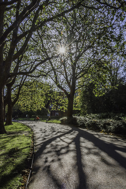 Stephen's Green (© Buelipix)