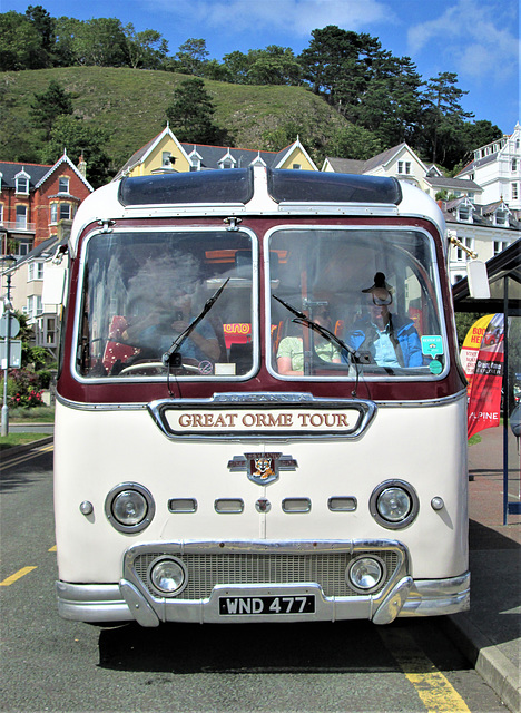 Vintage bus - Leyland 1950s?