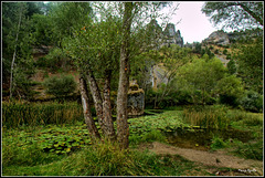 Cañón del río Lobos Cañón del río Lobos