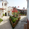 Greece, Lefkada, Flowerbed in the Holy Monastery of Panagia Faneromeni