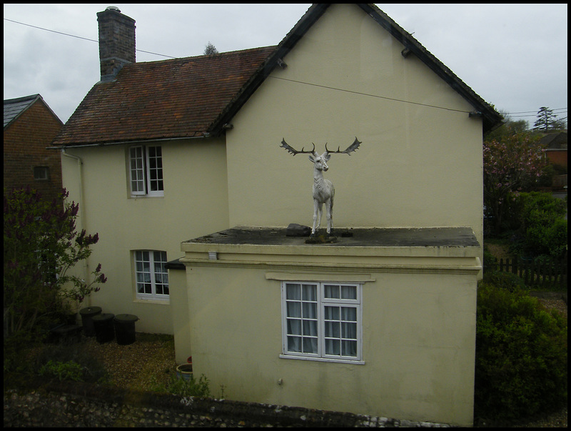 White Hart, Milborne St Andrew