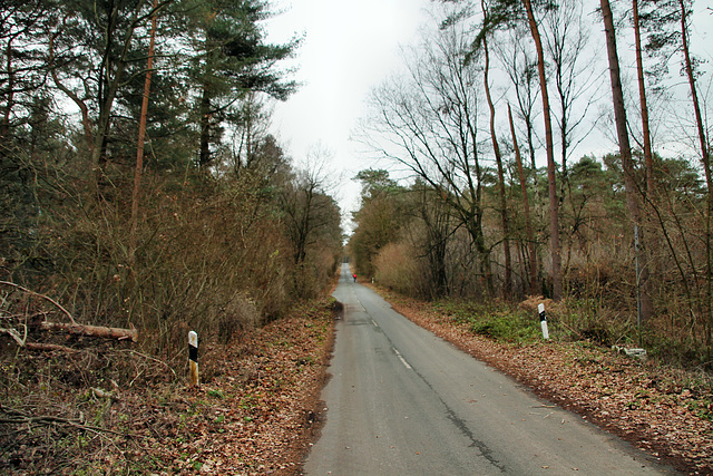 Redder Straße (Haard, Datteln) / 1.12.2018