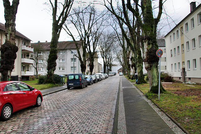 Jacob-Mayer-Straße (Bochum) / 14.01.2019