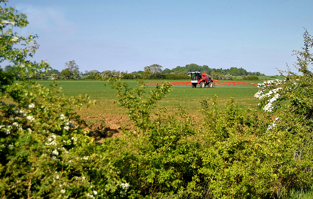 Red tractor and a fence to find!