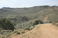 IMG 9507