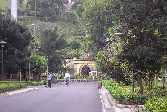 Jardim Da Flora