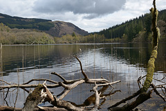 Loch Ard, near The Narrows