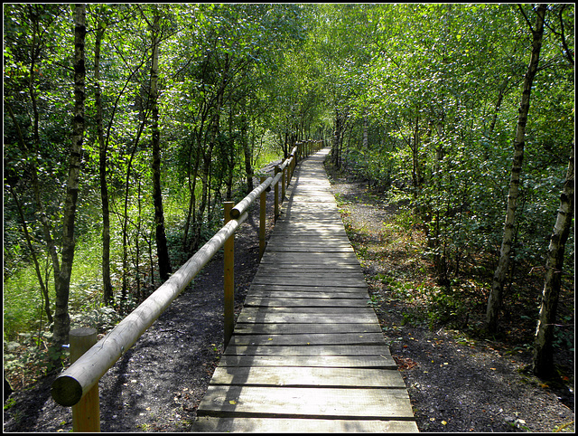 Adolf Coal mine  Hill  summit