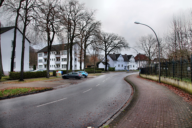 Dechenstraße (Gladbeck-Zweckel) / 24.12.2022