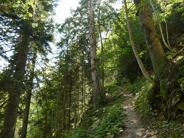 20240826 -0903 Valgaudemar (Ecrins) (249)