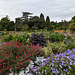 Summer Flowers In Levengrove Park