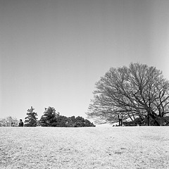 On top of the hill