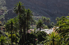 Upper Valle Gran Rey, Gomera
