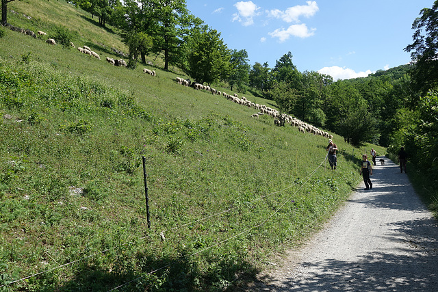 HFF - Landschaftspfleger