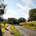 Pöppinghauser Straße (Castrop-Rauxel-Pöppinghausen) / 25.09.2021